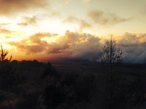 10959354_10101939447199287_2982242832444806502_n