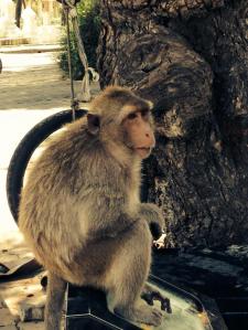 11108954_10102141398147967_6096635981198186953_n