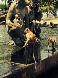 11391680_10102141395418437_7316071586406488413_n